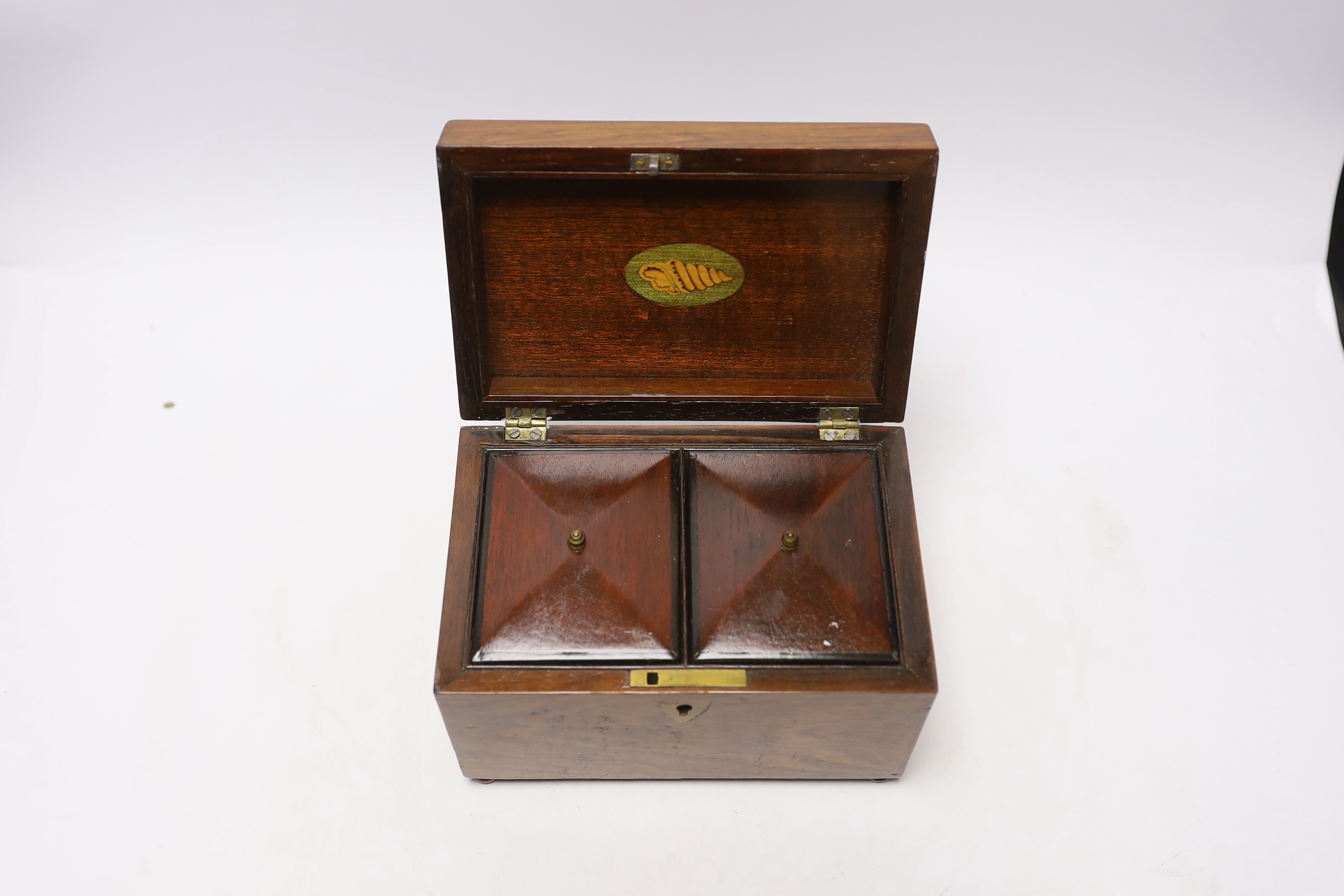 A Victorian burr walnut brass inlaid domed topped tea caddy with domed top interior and a brass inlaid rosewood tea caddy, largest 25cm wide